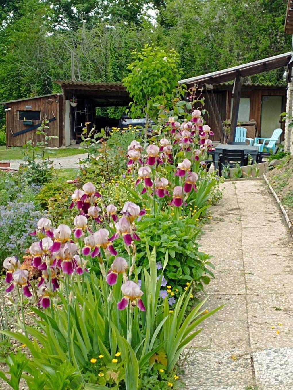 Gite L'Olivianne Crépy-en-Valois Exterior foto